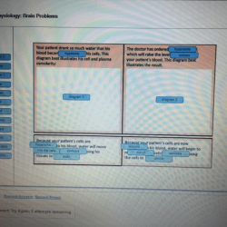 Nurses need physiology hemoglobin and genetics