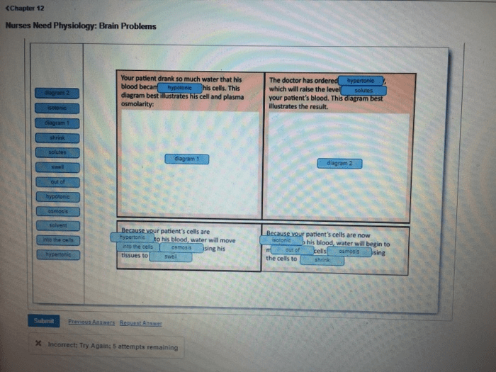 Nurses need physiology hemoglobin and genetics