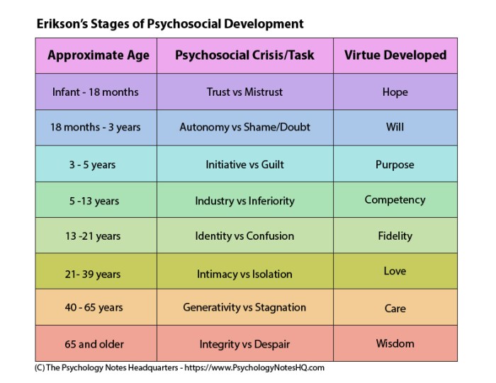 Erik erikson 8 stages of psychosocial development worksheet