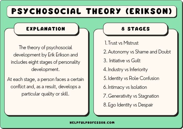 Erik erikson 8 stages of psychosocial development worksheet