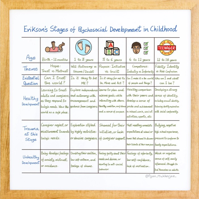 Stages erikson theory eriksons psychosocial erik psychologist
