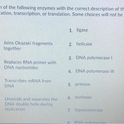 Dna replication microbiology process strand leading enzymes forks polymerase termination bacterial helicase quizover elongation bacteria strands microbio arrows topoisomerase libretexts