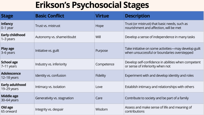 Stages psychosocial development erikson eriksons handout hq