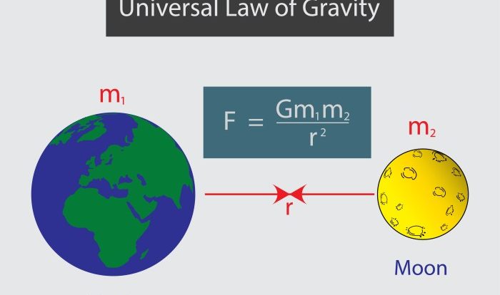 Newton worksheet laws gravitation universal law review answers worksheeto answer worksheets keys physics via